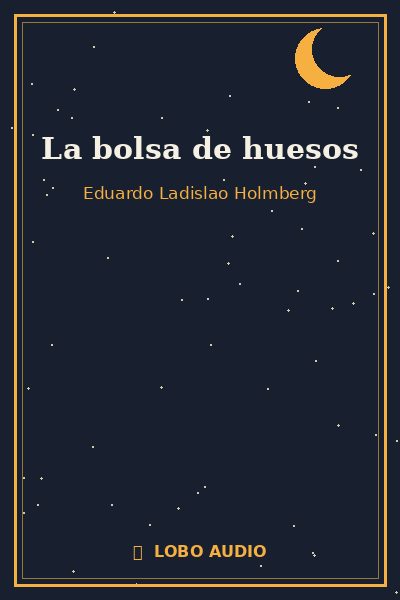 Portada de La bolsa de huesos